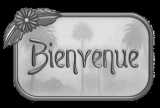 bienvenue...